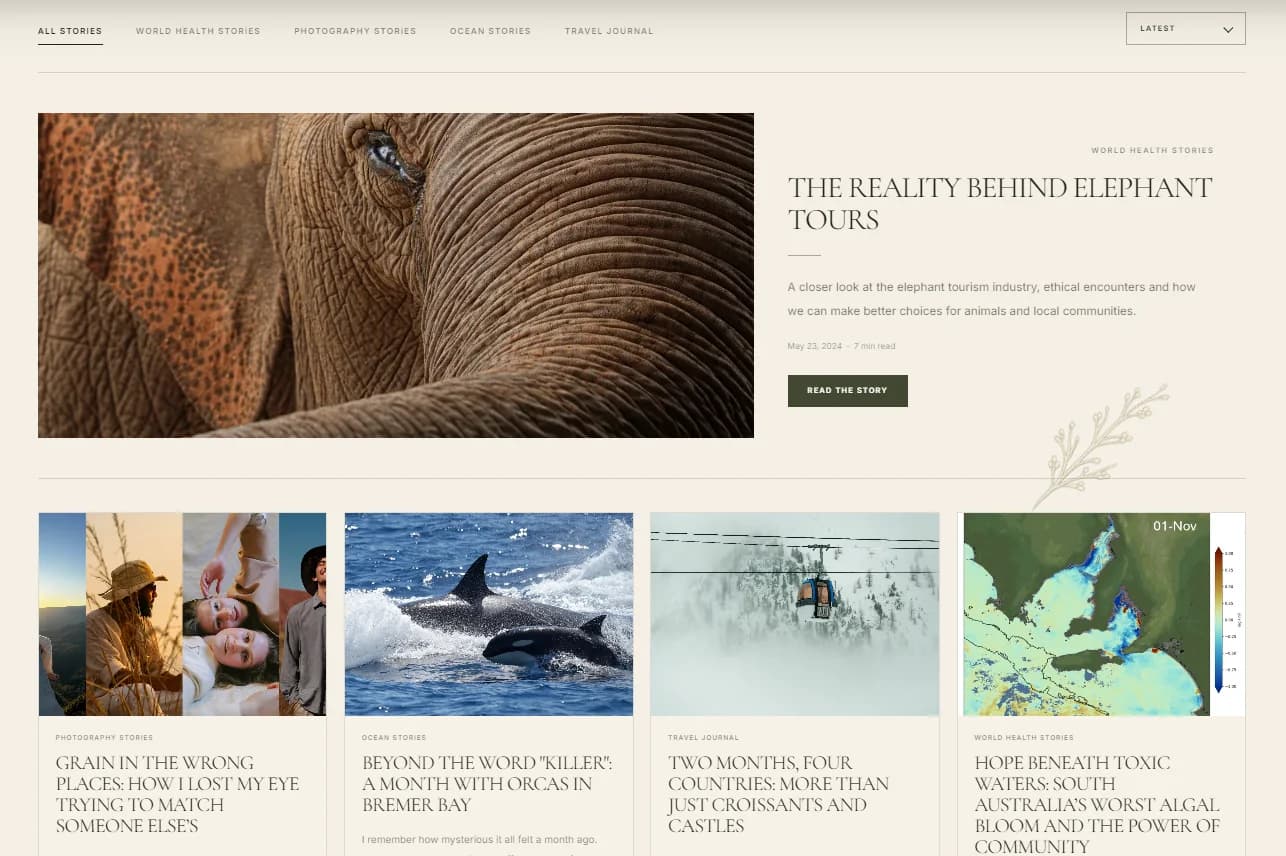 Odyssea Vision website detail